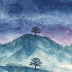 星星-Tinsur Blog