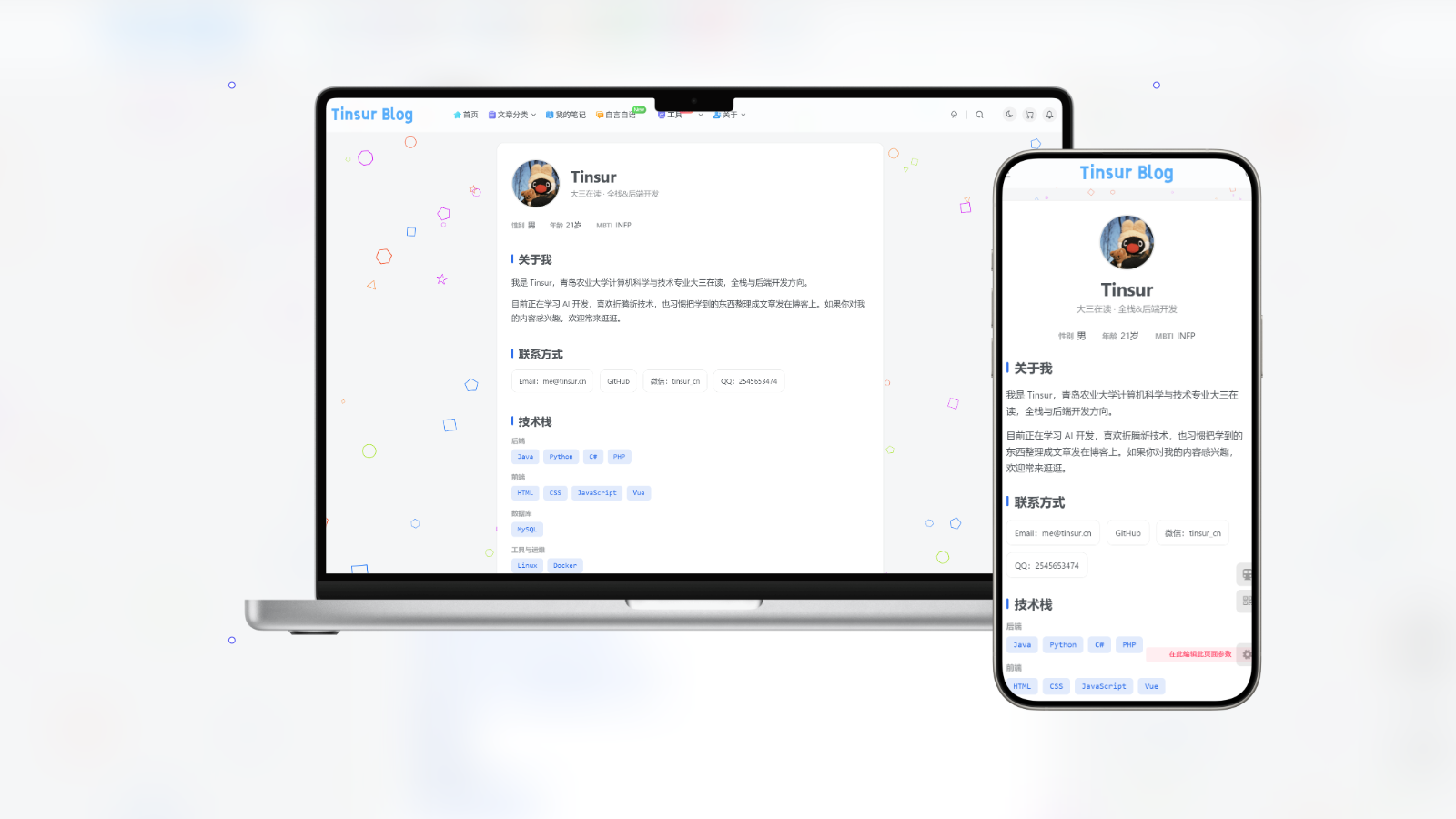 WordPress个人简历插件-Tinsur Blog